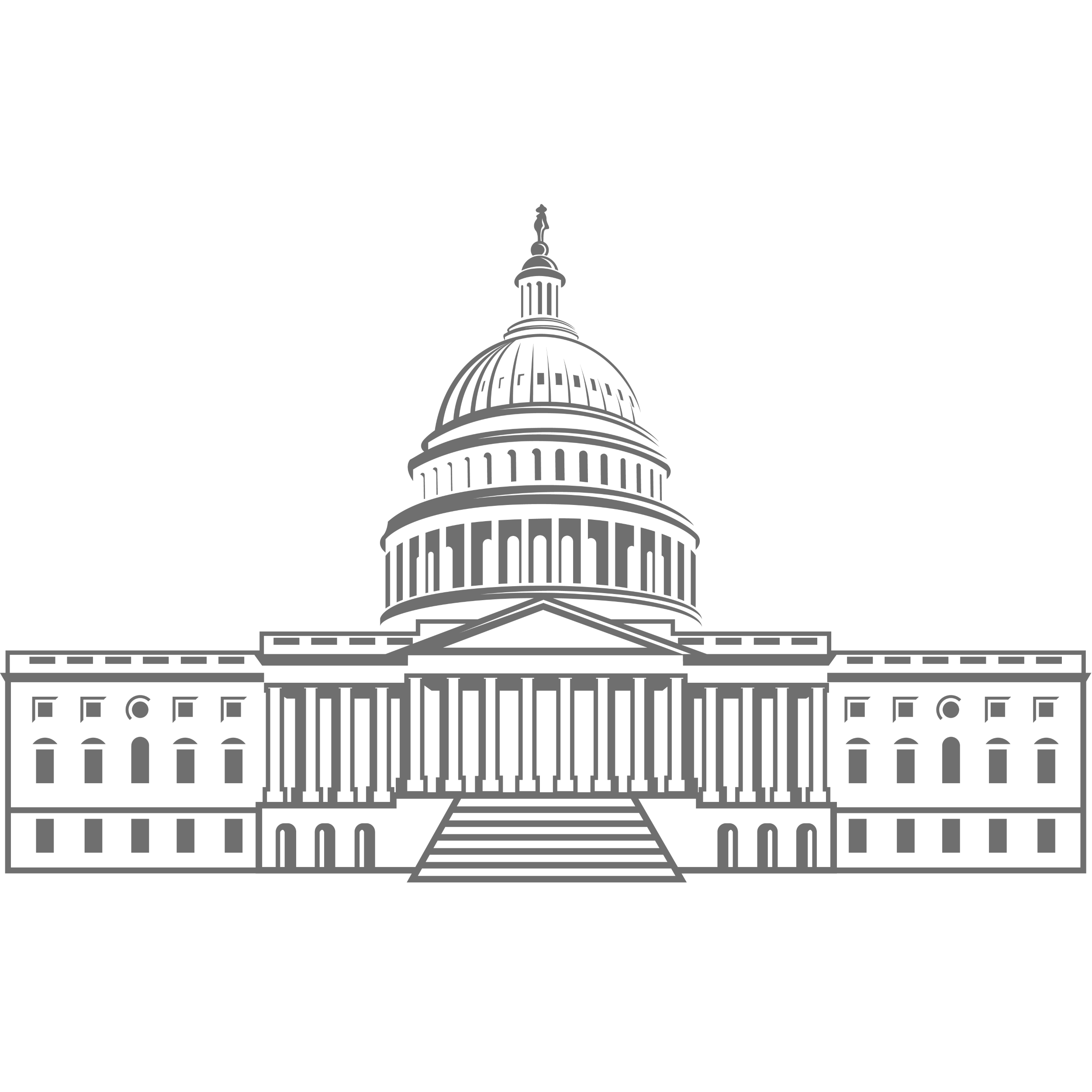 Government