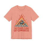 The Eternal Flame of Congress